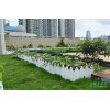 深圳都市农夫屋顶绿化项目_自动灌溉系统蓄排水种植槽