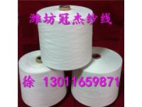 21s賽絡(luò)紡粘膠紗 賽絡(luò)紡21支人棉紗