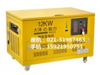 佛山12KW全自動汽油發(fā)電機