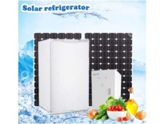 太阳能直流冰柜一体式高端型型号. BCD-110