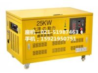 25kw汽油發(fā)電機(jī)組/大澤25kw發(fā)電機(jī)