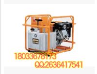 1-日本IZUMI復(fù)動(dòng)式汽油引擎液壓泵HPE-4M-1