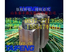 WC67Y-100RHG-00泰丰100吨折弯机油缸