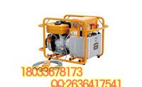 12-HPE-1D汽油機(jī)液壓泵-1
