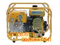 13-HPE-1A汽油機(jī)液壓泵-2