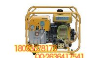 13-HPE-1A汽油機液壓泵-1