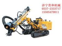 履帶式打樁機(jī)  履帶式打樁機(jī)價(jià)格  履帶式打樁機(jī)廠家