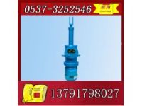 DYTZ450/600電液推桿