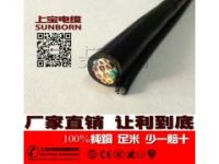 深圳吊機電纜，深圳帶鋼絲多芯線，電動葫蘆連接電纜