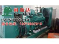 珠海香洲橫琴康明斯發(fā)電機(jī)維修 珠海保稅發(fā)電機(jī)出租、維修
