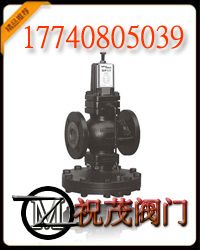 DP17斯派莎克減壓閥 副本