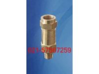 銷售SFA-22C300T冷凍機(jī)專用安全閥
