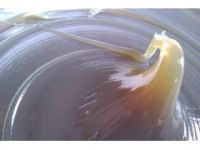 供應(yīng)450度耐高溫潤(rùn)滑脂 揮發(fā)少 廠家直銷