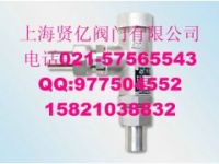DA21Y-25P低溫安全閥