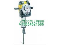 大田縣供應(yīng)內(nèi)燃破碎鎬（搗固機）