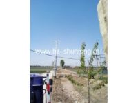 電力鋼桿物超所值兩大要點(diǎn)