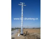 電力鋼桿細(xì)分市場(chǎng)的目的