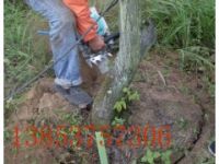 帶土球起苗機  電動帶土球起苗機  挖樹機