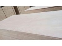 集裝箱墊板防水膠合板廠家