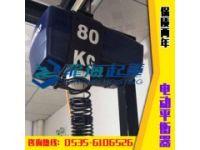 300kg電動平衡器,300kg電動平衡器價格,終身保修