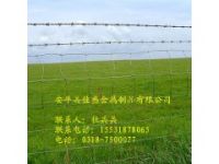 供應生產(chǎn)草原網(wǎng)養(yǎng)殖畜牧業(yè)牛欄網(wǎng)內(nèi)蒙古廠家直銷