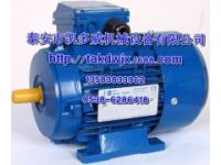 2106022094、2106022099復(fù)盛電機(jī)