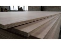 高平整度夾板多層板工廠