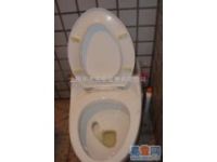 上海普陀區(qū)維修馬桶公司56988897馬桶維修馬桶公司