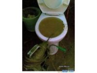 上海閘北區(qū)維修馬桶公司56988897馬桶維修馬桶公司