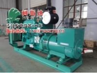 廣東供應300KW康明斯發(fā)電機組，珠海坦洲發(fā)電機維修保養(yǎng)