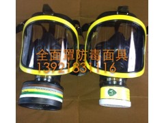 DF-02全面罩过滤防毒面具