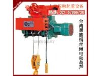 黑熊鋼絲繩電動葫蘆|進口黑熊電動葫蘆|質量保證