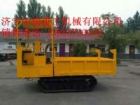 履帶四不像車,履帶四不像車價(jià)格,履帶四不像車廠家