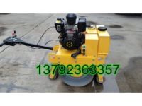 德陽市小型震動(dòng)壓路機(jī) 自產(chǎn)自銷浩鴻手推式震動(dòng)壓實(shí)機(jī)廠家