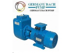 进口自吸污水泵-德国优质自吸泵