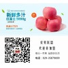陕西红富士苹果优质客商供应诚招代理产地直供
