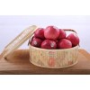 陕西洛川红富士苹果优质供应24个精品包装