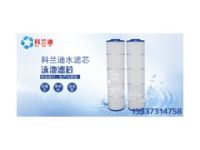 供應(yīng)科蘭迪工業(yè)專用泳池濾芯