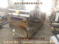 全自動(dòng)紅棗去核機(jī)