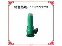 礦用潛水排沙電泵 礦用潛水泵 BQS40/20