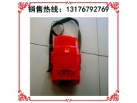 壓縮氧自救器 ZYX60壓縮氧自救器 自救器廠家