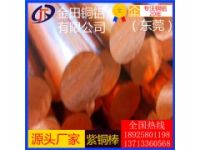 T5國標(biāo)紫銅棒 大規(guī)格紫銅棒 T2國標(biāo)紫銅棒 紫銅棒