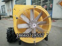 581702067202970966_副本