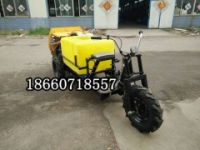 瑞特果園果樹打藥機(jī) 噴霧機(jī)廠家 報價