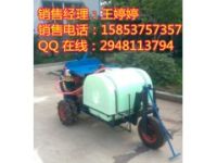 小車式果樹打藥機 果園自走式噴藥機 風(fēng)行式噴藥機型號