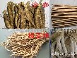 中藥材毛輥清洗機(jī)