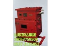 DXBL1536/220J磷酸鐵鋰電池電源 鋰離子蓄電池