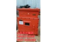 DXBL1536/220J磷酸鐵鋰電池電源 鋰離子蓄電池電源