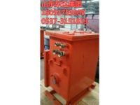 DXBL1536/220J礦用隔爆型鋰離子蓄電池電源清倉直銷