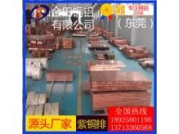 TU2無氧銅排 紫銅扁條 T5國標(biāo)紫銅條 磷脫氧銅tp1